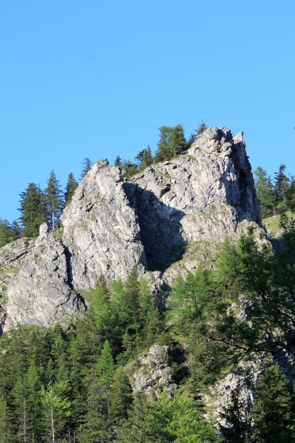 Willa U Stachoniow Zakopane Exterior photo