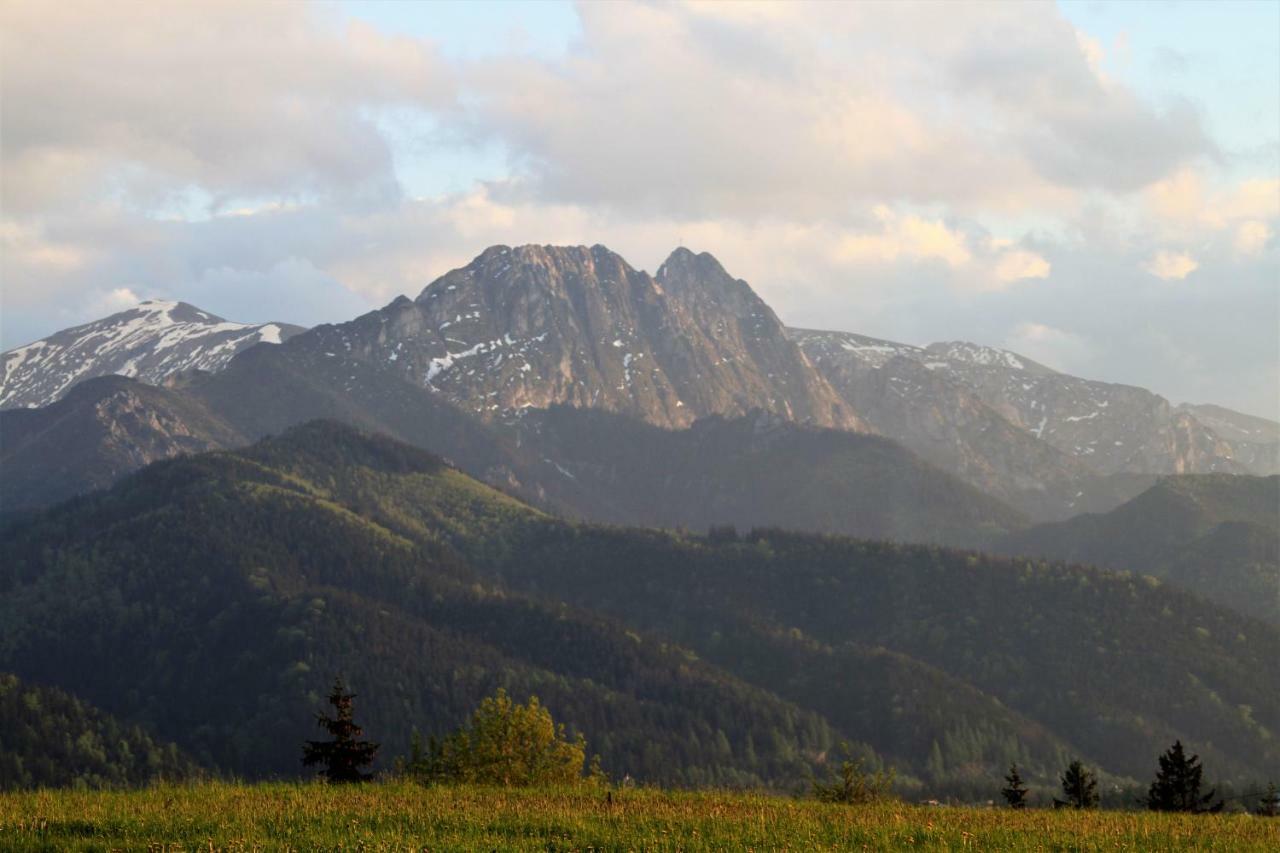 Willa U Stachoniow Zakopane Exterior photo