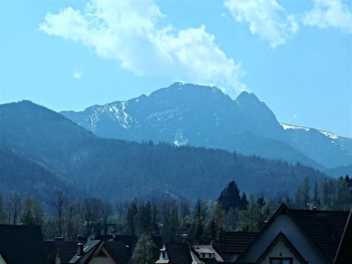Willa U Stachoniow Zakopane Exterior photo
